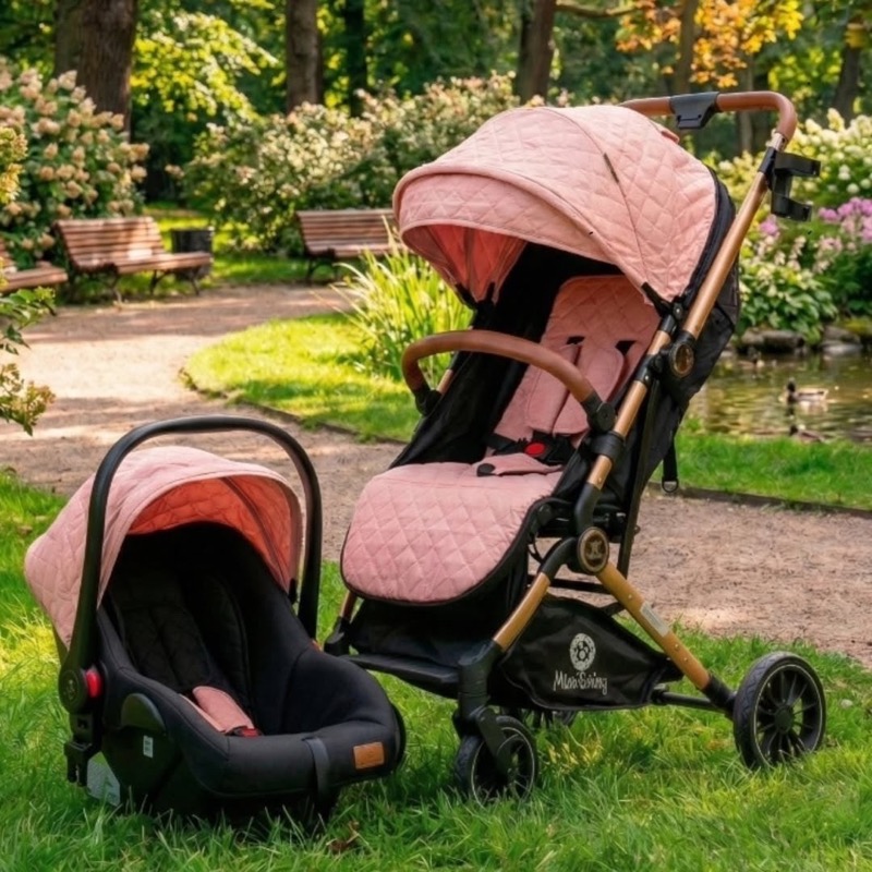 COCHE BOSTON MALETA CON